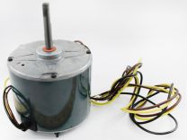 HC38GE236.jpg